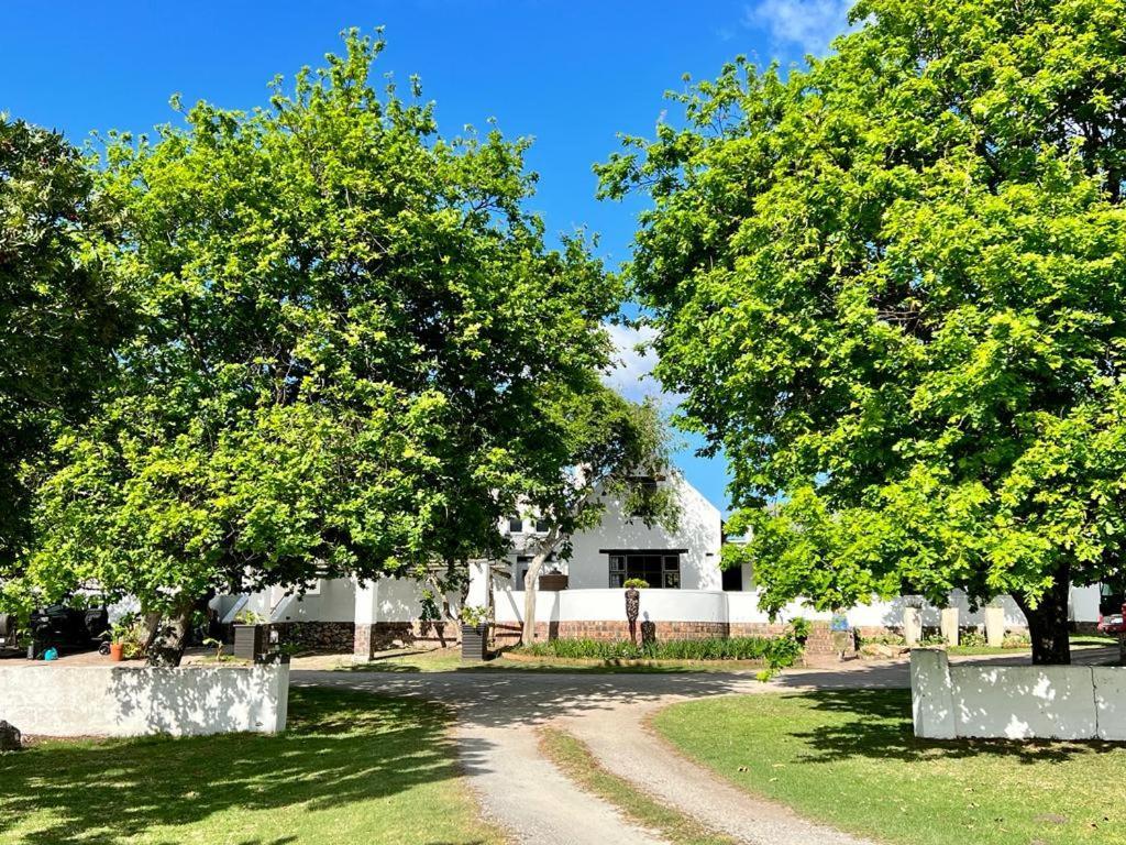 Bitou River Lodge Plettenberg Bay Bagian luar foto