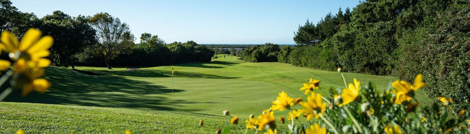 Bitou River Lodge Plettenberg Bay Bagian luar foto