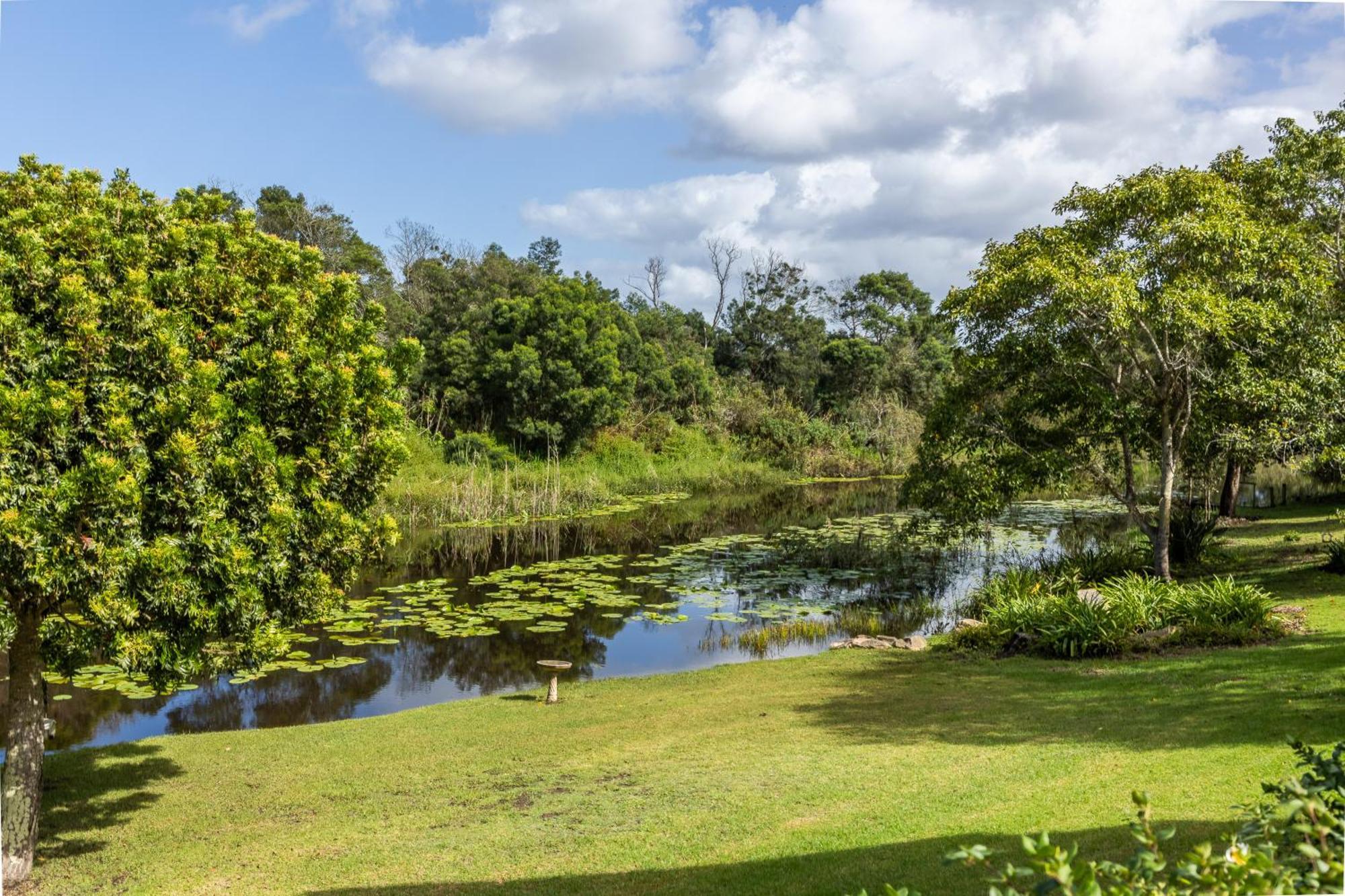 Bitou River Lodge Plettenberg Bay Bagian luar foto